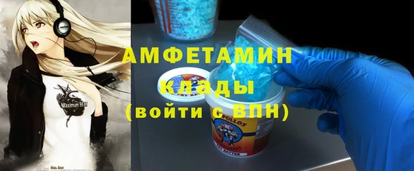 индика Алзамай