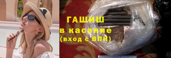 индика Алзамай