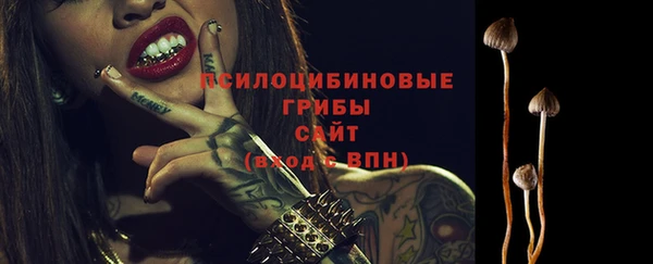 прущие крисы Алексин
