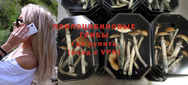 индика Алзамай