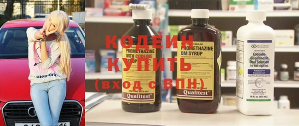 индика Алзамай